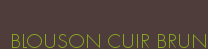 BLOUSON CUIR BRUN