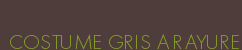 COSTUME GRIS A RAYURE
