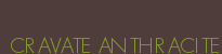 CRAVATE ANTHRACITE
