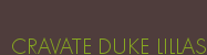 CRAVATE DUKE LILLAS
