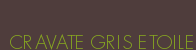 CRAVATE GRIS ETOILE