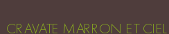 CRAVATE MARRON ET CIEL