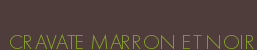 CRAVATE MARRON ET NOIR