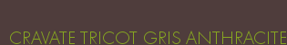 CRAVATE TRICOT GRIS ANTHRACITE