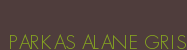 PARKAS ALANE GRIS
