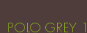 POLO GREY 1