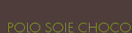POLO SOIE CHOCO